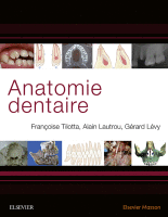 Anatomie Dentaire