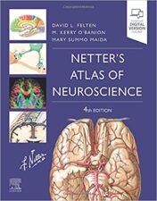 Netter's Atlas of Neuroscience (Netter Basic Science) 4th Ed