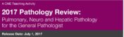 2017-pathology-review-pulmonary-neuro-and-hepatic-pathology-for-the-general-pathologist-cme-videos