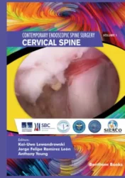 Cervical Spine (Contemporary Endoscopic Spine Surgery Book 1)