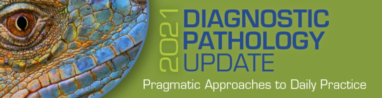 USCAP 2021 Diagnostic Pathology Update: Pragmatic Approaches to Daily Practice