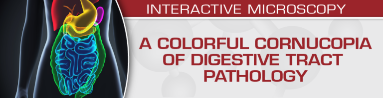 USCAP A Colorful Cornucopia of Digestive Tract Pathology