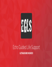 ECHO-Guided Life Support Using ultrasound to categorise shock and guide initial management