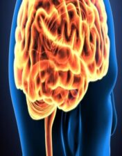 Harvard Neurological Emergencies 2021 videos