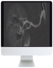 ARRS Case-Based Subspecialty Review 2021 videos