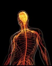 Comprehensive Review of Neurology 2021 videos