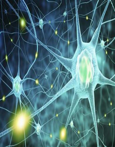 Neurology for the Non-Neurologist is a comprehensive live lecture series that will provide the attendee with the opportunity to improve knowledge, competence, and performance in the major sub-specialty areas of modern clinical neurology.