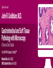 Expert Series with John R. Goldblum, M.D. Gastrointestinal and Soft Tissue Pathology with Microscopy: A One-on-One Tutorial 2022 (CME VIDEOS)