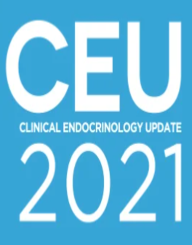 Clinical Endocrinology Update 2021 Session Recording CME VIDEOS