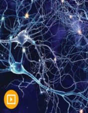 Neurology for Non-Neurologists 2022 (CME VIDEOS)