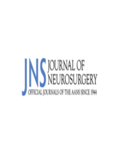 Journal of Neurosurgery 2022 Archives True PDF