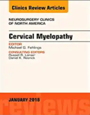 Cervical Myelopathy, An Issue of Neurosurgery Clinics of North America (Volume 29-1) (The Clinics: Surgery, Volume 29-1) (Original PDF