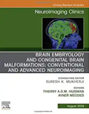 Emergent Neuroimaging: A Patient Focused Approach, An Issue of Neuroimaging Clinics of North America (Volume 28-3) (The Clinics: Radiology, Volume 28-3) 2018 Original PDF