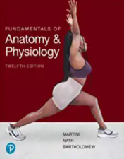Fundamentals of Anatomy and Physiology, 12th Edition 2023 Original PDF