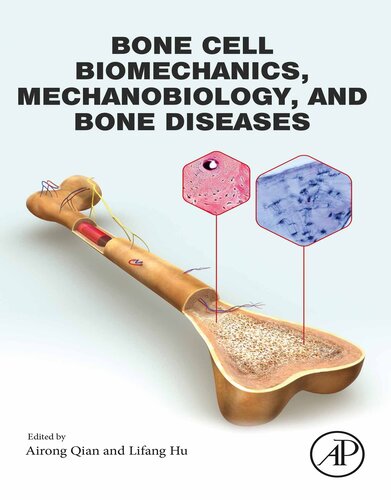 Bone Cell Biomechanics, Mechanobiology and Bone Diseases (Original PDF