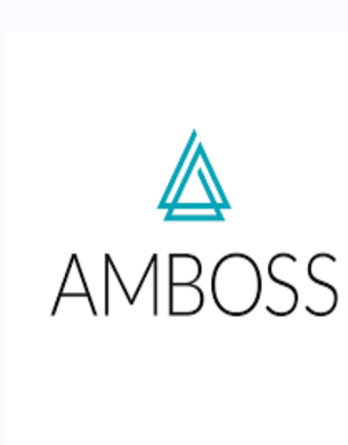 Amboss