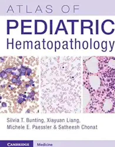 Atlas of Pediatric Hematopathology,2023 Original PDF