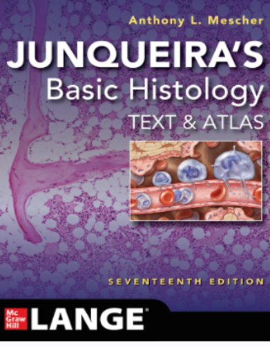 Junqueira’s Basic Histology: Text and Atlas, Seventeenth Edition,2023 Original PDF