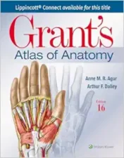 Grant’s Atlas Of Anatomy, 16th Edition.2024 EPUB and converted pdf