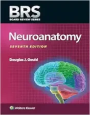 BRS Neuroanatomy, 7th Edition.2024 EPUB and converted pdf