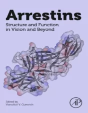 Arrestins: Structure and Function in Vision and Beyond.2022 Original PDF