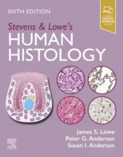 Stevens & Lowe’s Human Histology, 6th Edition .2025 EPUB and converted pdf