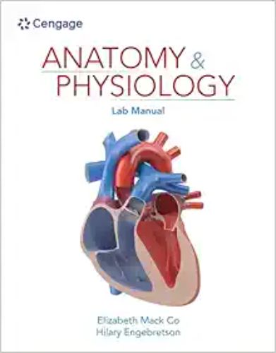 Anatomy & Physiology Lab Manual,2023 Original PDF