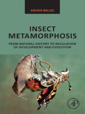 Insect Metamorphosis: From Natural History To Regulation Of Development And Evolution