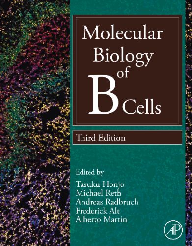 Molecular Biology Of B Cells, 3rd Edition,2024 Original PDF