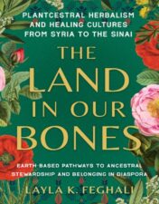 The Land In Our Bones: Plantcestral Herbalism And Healing Cultures From Syria To The Sinai–Earth-Based Pathways To Ancestral Stewardship And Belonging In Diaspora 2024 EPUB