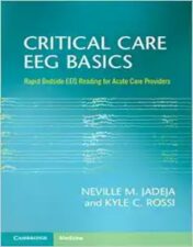 Critical Care EEG Basics: Rapid Bedside EEG Reading For Acute Care Providers ,2024 Original PDF