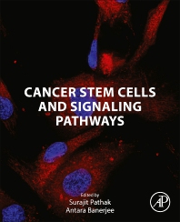 Cancer Stem Cells And Signaling Pathways,2023 Original PDF