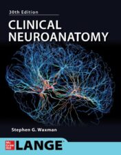 Clinical Neuroanatomy, 30th Edition (Original PDF