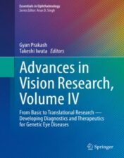 Advances in Vision Research, Volume IV