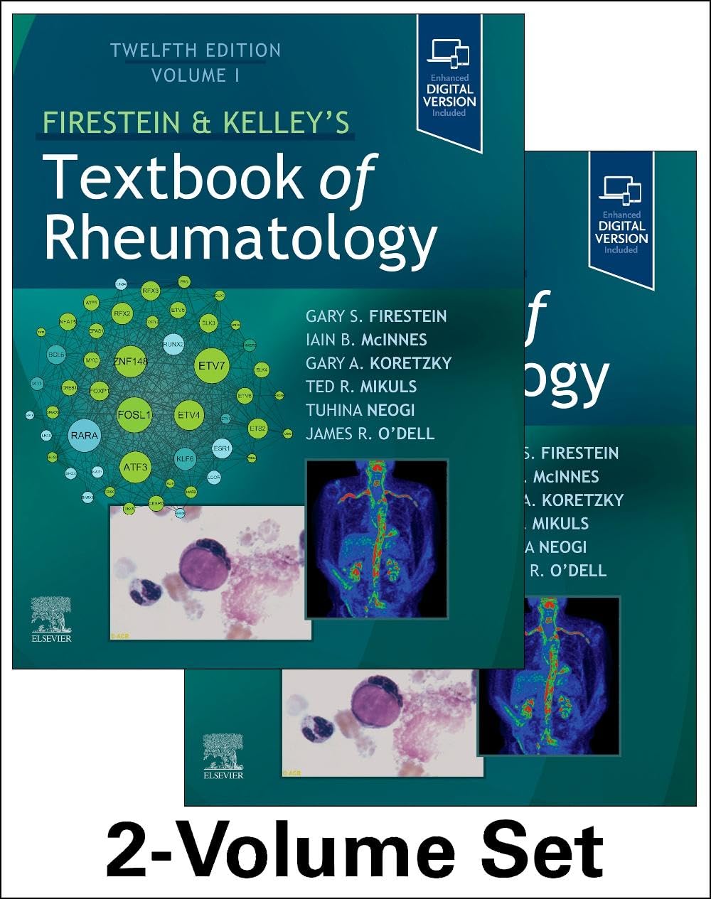 Firestein & Kelley’s Textbook of Rheumatology, 12th Edition Original PDF +Video's 2024