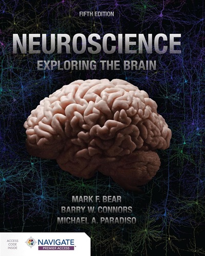 Neuroscience: Exploring the Brain 5th Edition